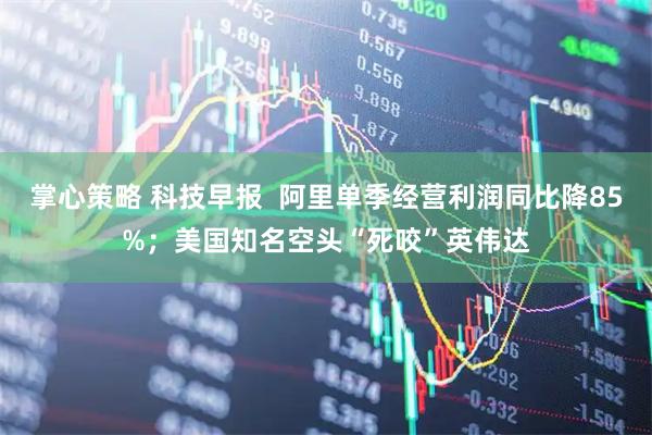 掌心策略 科技早报  阿里单季经营利润同比降85%；美国知名空头“死咬”英伟达