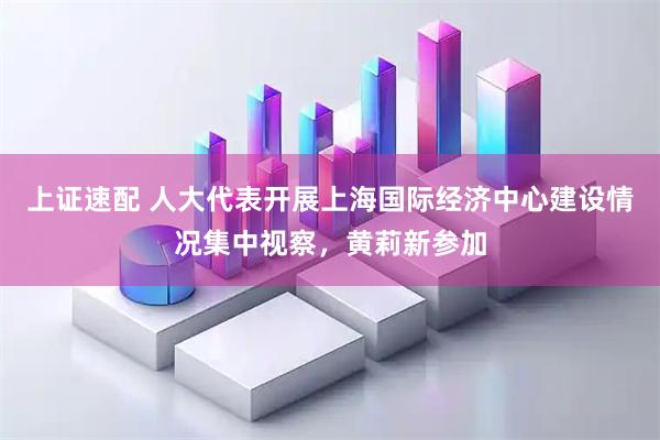 上证速配 人大代表开展上海国际经济中心建设情况集中视察，黄莉新参加