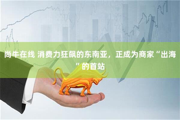 尚牛在线 消费力狂飙的东南亚，正成为商家“出海”的首站